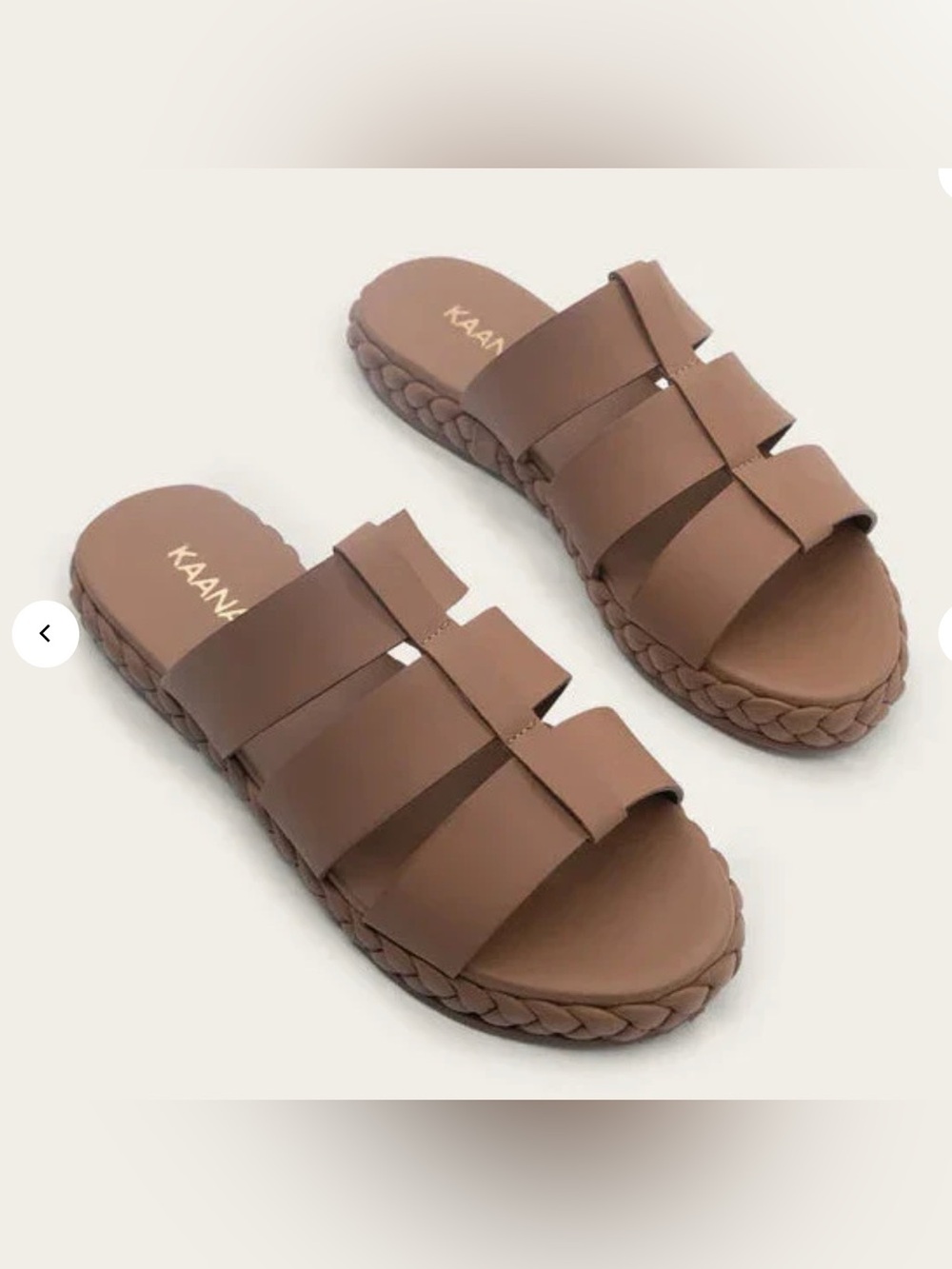 KAANAS Iguanas Caged Slide NWT
